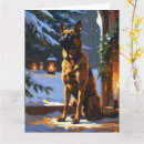 Search for belgian malinois cards Animal