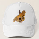 Search for moth hats Wings