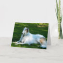 Search for wolfhound cards Borzoi