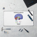 Search for human anatomy mousepads Anatomical