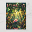 Search for everglade state postcards Travel