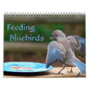 Search for bluebird calendars Wildlife
