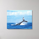Search for breaching art Ocean