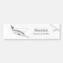 Search for arctic bumper stickers Animal