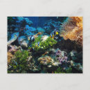 Search for coral reef life postcards Fish