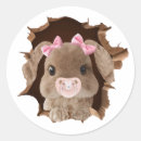Search for pets pacifiers Animal