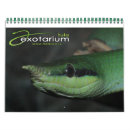 Search for snake calendars Lizard