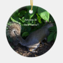 Search for squirrels christmas tree decorations Photography