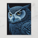 Search for blue owl postcards Birds