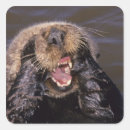 Search for state animal stickers United states