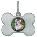 Search for playing pet supplies Puppy
