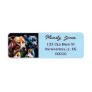 Search for pit bull return address labels Pets