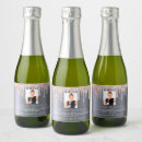 Search for rose gold glitter food storage Silver