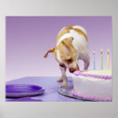 Search for eat cake art Birthday