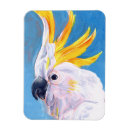 Search for portraits rectangular magnets Tropical