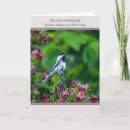 Search for chickadee cards Garden