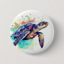Search for painted turtle badges Ocean