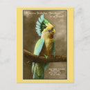 Search for party parrots postcards Vintage