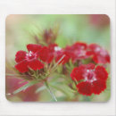 Search for gardens mousepads Plant