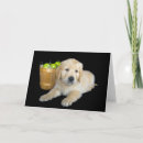 Search for cute apple cards Fruit