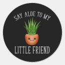 Search for cactus puns are succulent Gardening