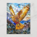 Search for falcon postcards Flying