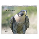 Search for falcon calendars Animal
