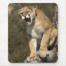 Search for puma mousepads Big cat