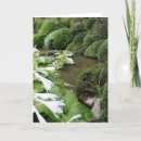 Search for hosta cards Botanical