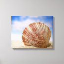 Search for seashells sea shells canvas prints Beach