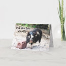 Search for piggies cards Farm animals