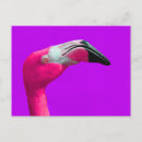 Search for pink background postcards Purple