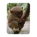 Search for philippine magnets Pilipino