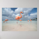 Search for tropical flamingo posters Beach