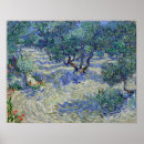 Search for van gogh olive trees posters Orchard