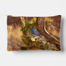 Search for bluebird accessories Nature