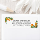 Search for orange fruit return address labels Oranges