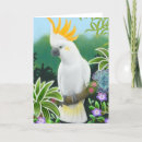 Search for galahs cards Parrots