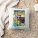Search for beef cushions Cow