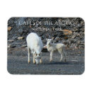 Search for arctic magnets National park