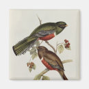 Search for private magnets Lithograph