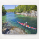 Search for gary mousepads North america