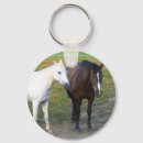 Search for filly key rings Foal
