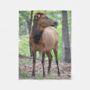 Search for cow blankets Autumn