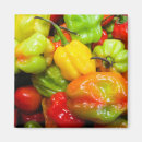 Search for spices magnets Spicy