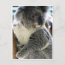Search for cuddly postcards Nature