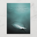 Search for optimistic postcards Nature
