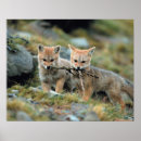 Search for sibling posters Fox