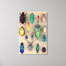 Search for bug pictures art Nature
