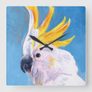 Search for bird clocks Exotic birds
